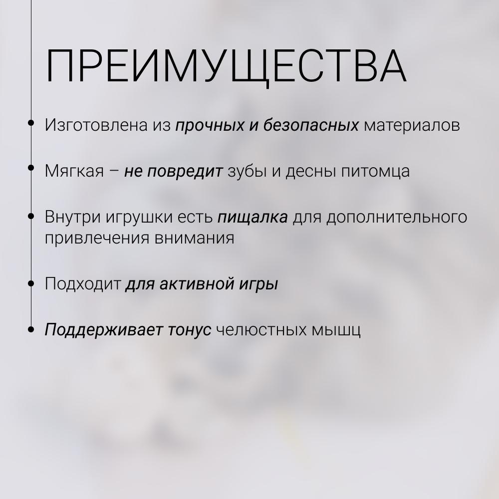 https://storage.yandexcloud.net/pim-core/429821.jpeg