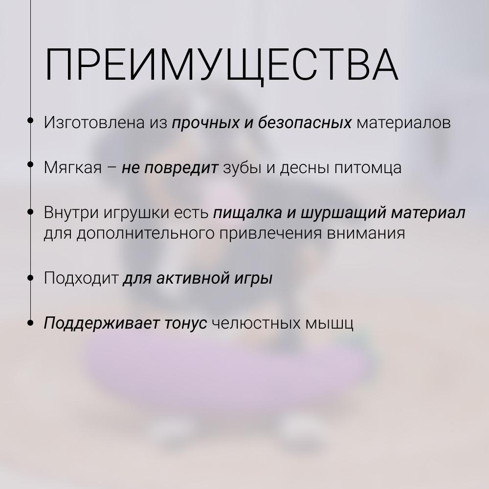 https://storage.yandexcloud.net/pim-core/429843.jpeg