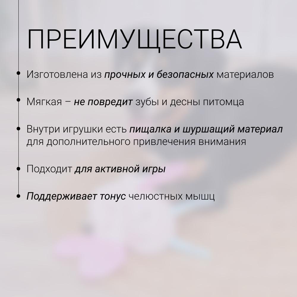 https://storage.yandexcloud.net/pim-core/429852.jpeg