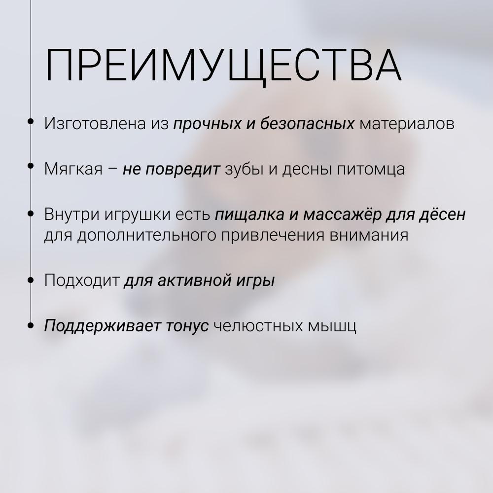 https://storage.yandexcloud.net/pim-core/429896.jpeg