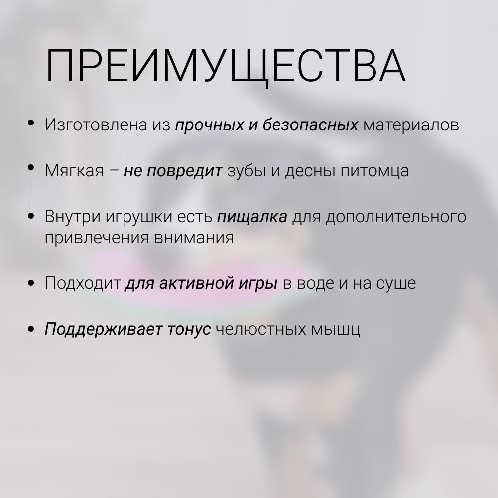 https://storage.yandexcloud.net/pim-core/429912.jpeg