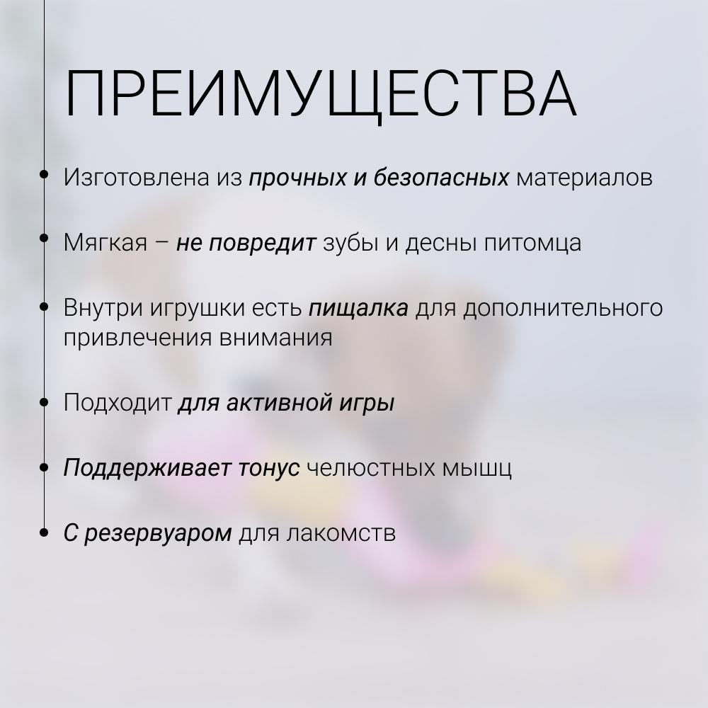 https://storage.yandexcloud.net/pim-core/429920.jpeg