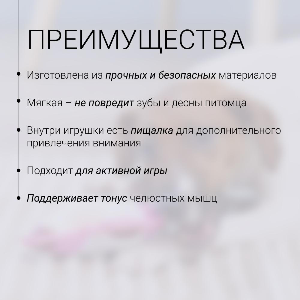 https://storage.yandexcloud.net/pim-core/429943.jpeg