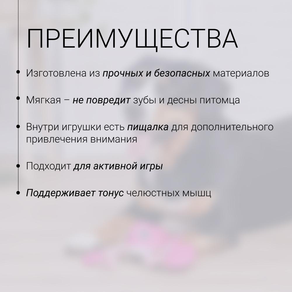https://storage.yandexcloud.net/pim-core/429985.jpeg