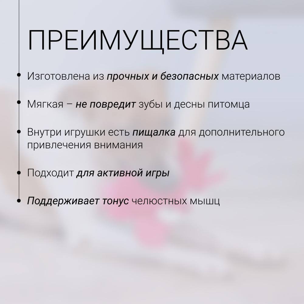 https://storage.yandexcloud.net/pim-core/430004.jpeg
