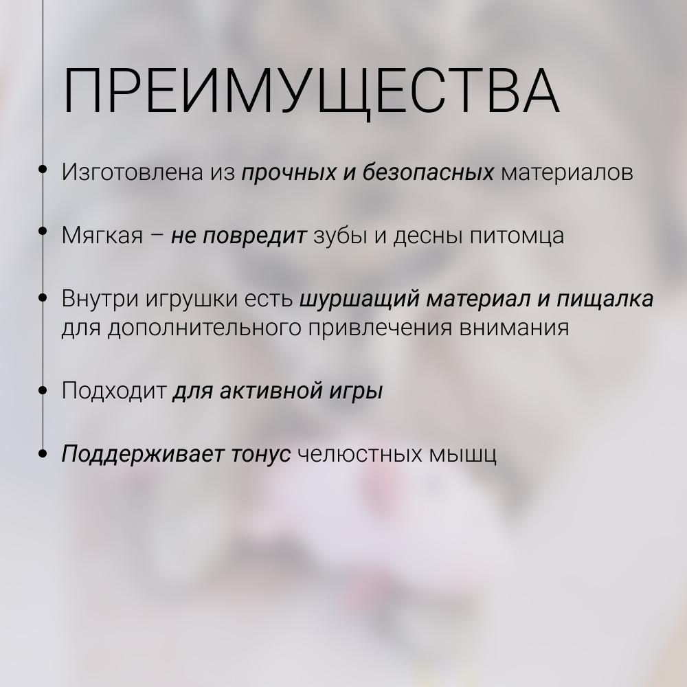 https://storage.yandexcloud.net/pim-core/430091.jpeg
