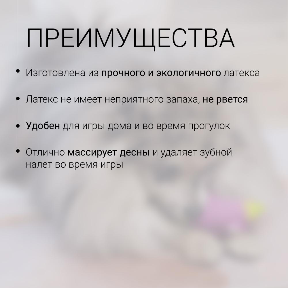 https://storage.yandexcloud.net/pim-core/430193.jpeg