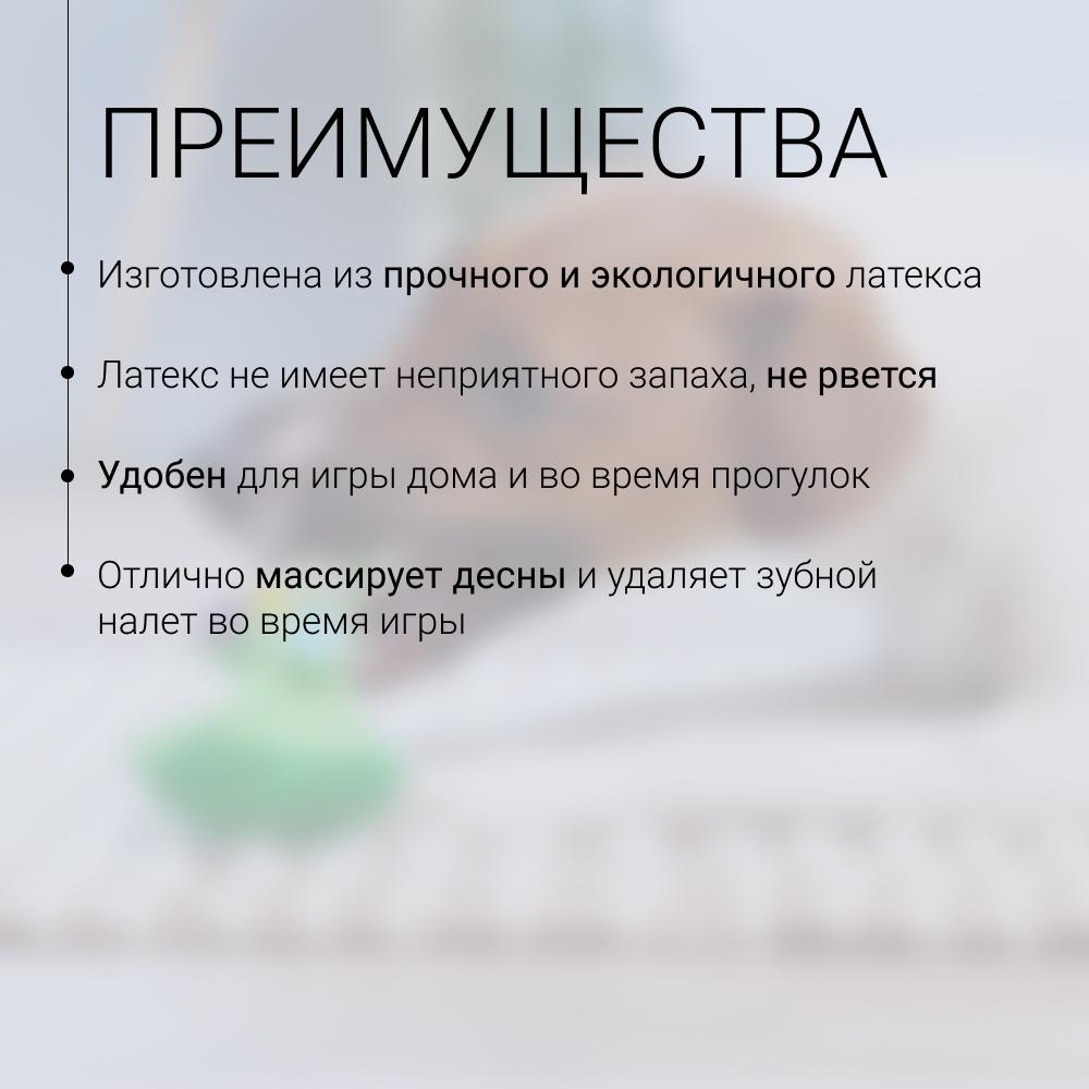 https://storage.yandexcloud.net/pim-core/430201.jpeg
