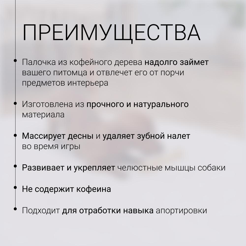 https://storage.yandexcloud.net/pim-core/431354.jpeg