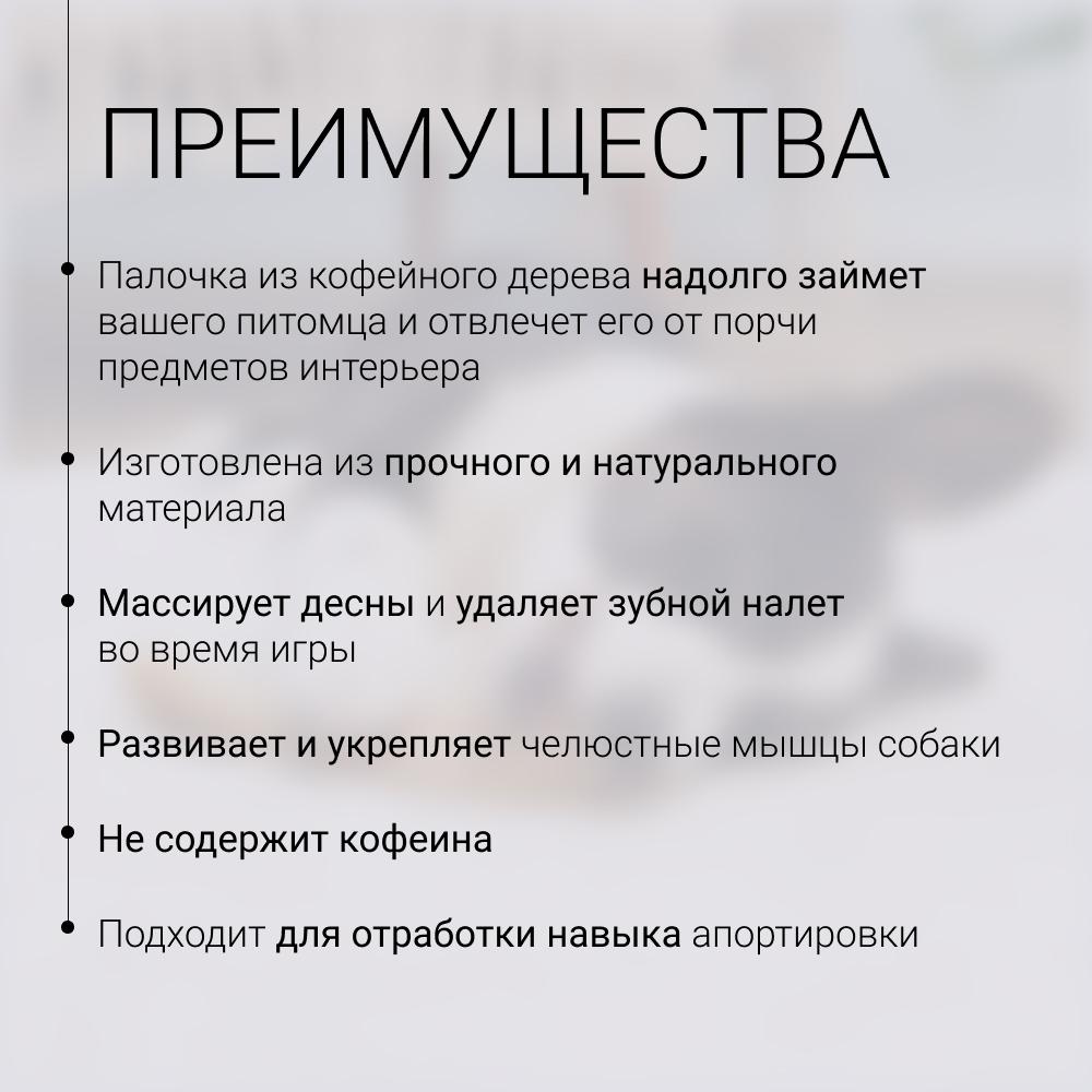 https://storage.yandexcloud.net/pim-core/431371.jpeg