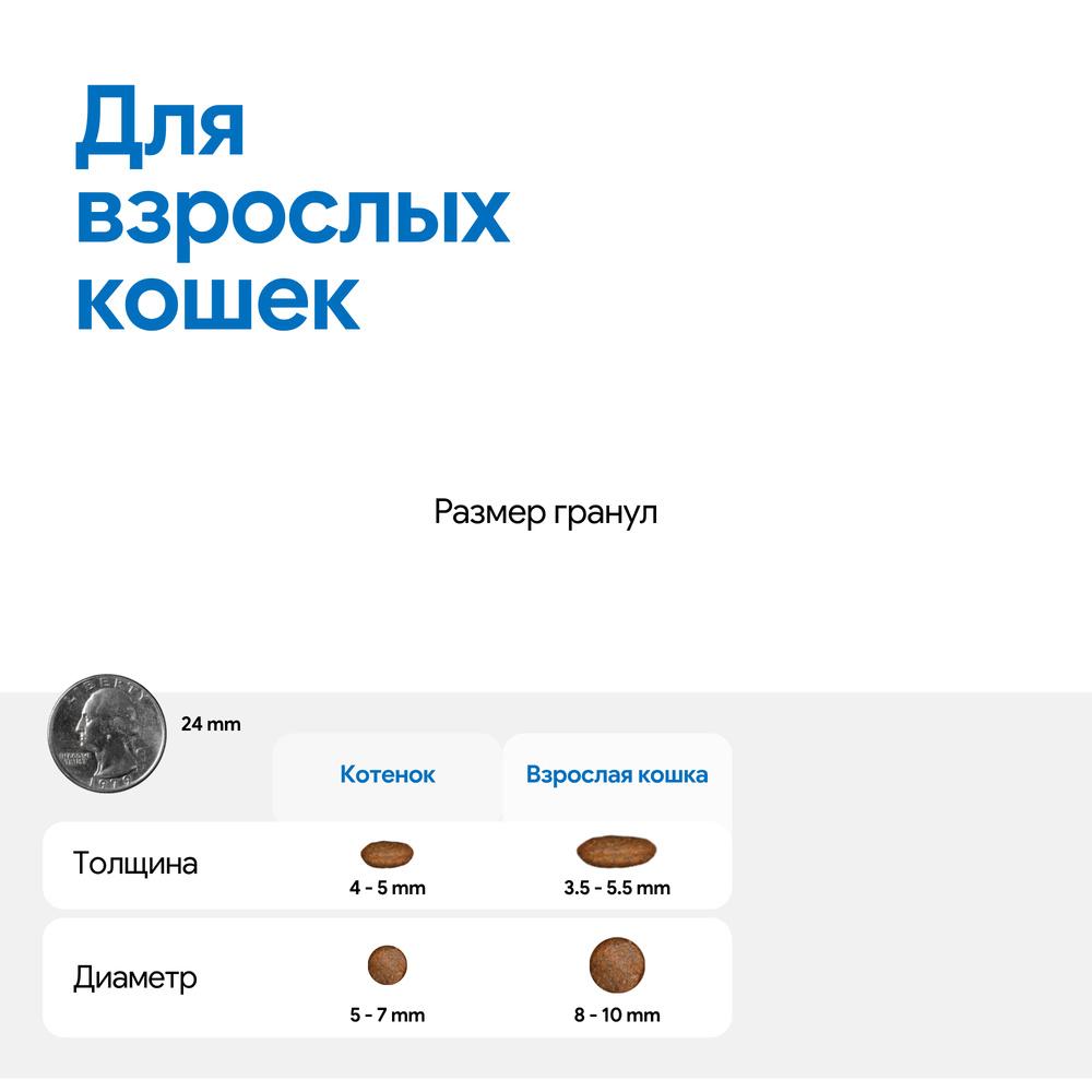 https://storage.yandexcloud.net/pim-core/431515.jpeg
