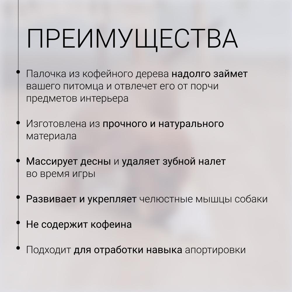 https://storage.yandexcloud.net/pim-core/431650.jpeg