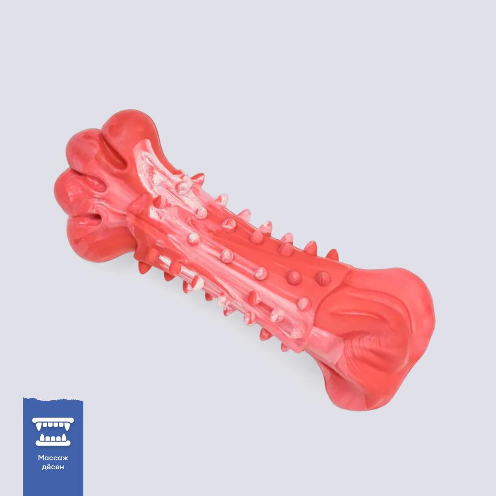 RURRI Игрушка для собак Кость, 19 см