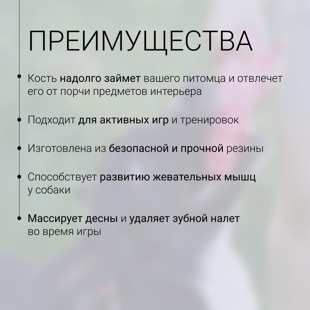 https://storage.yandexcloud.net/pim-core/431665.jpeg