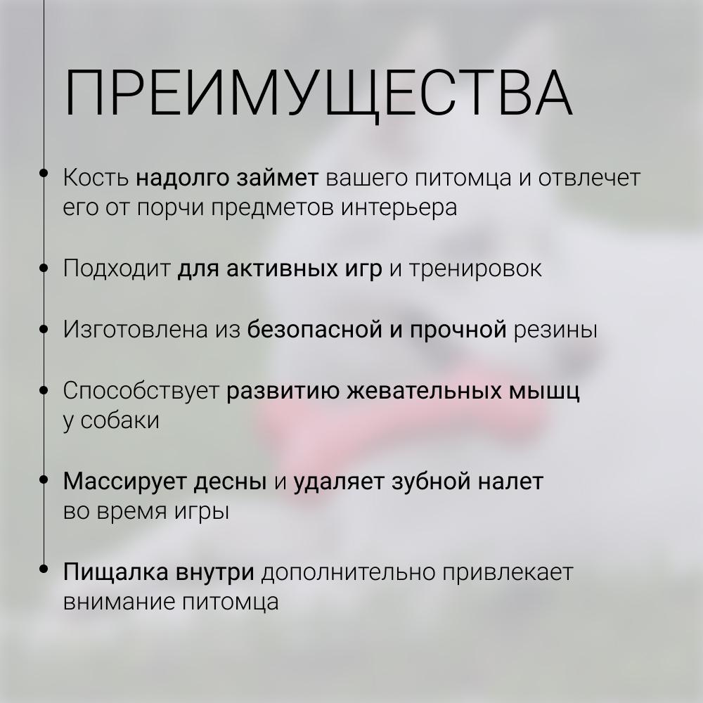 https://storage.yandexcloud.net/pim-core/431678.jpeg
