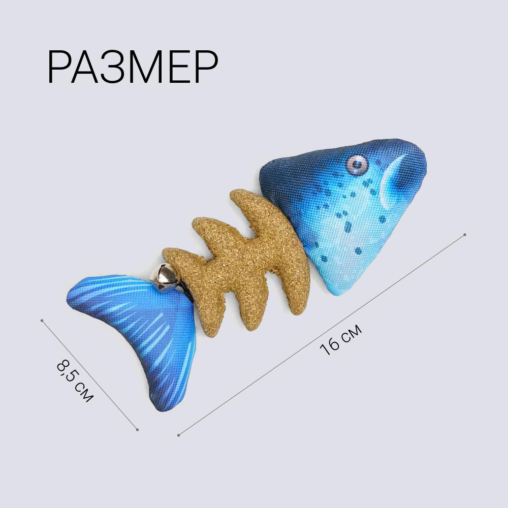 https://storage.yandexcloud.net/pim-core/431713.jpeg