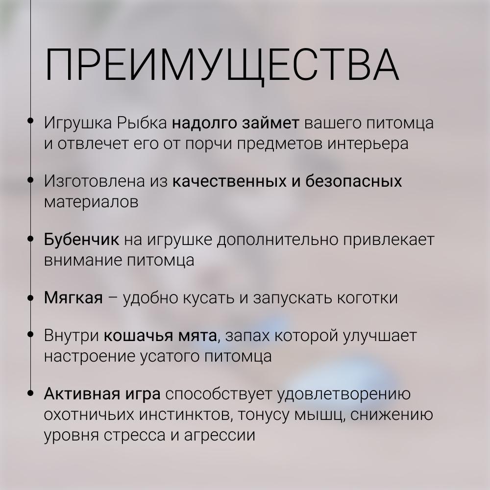 https://storage.yandexcloud.net/pim-core/431714.jpeg