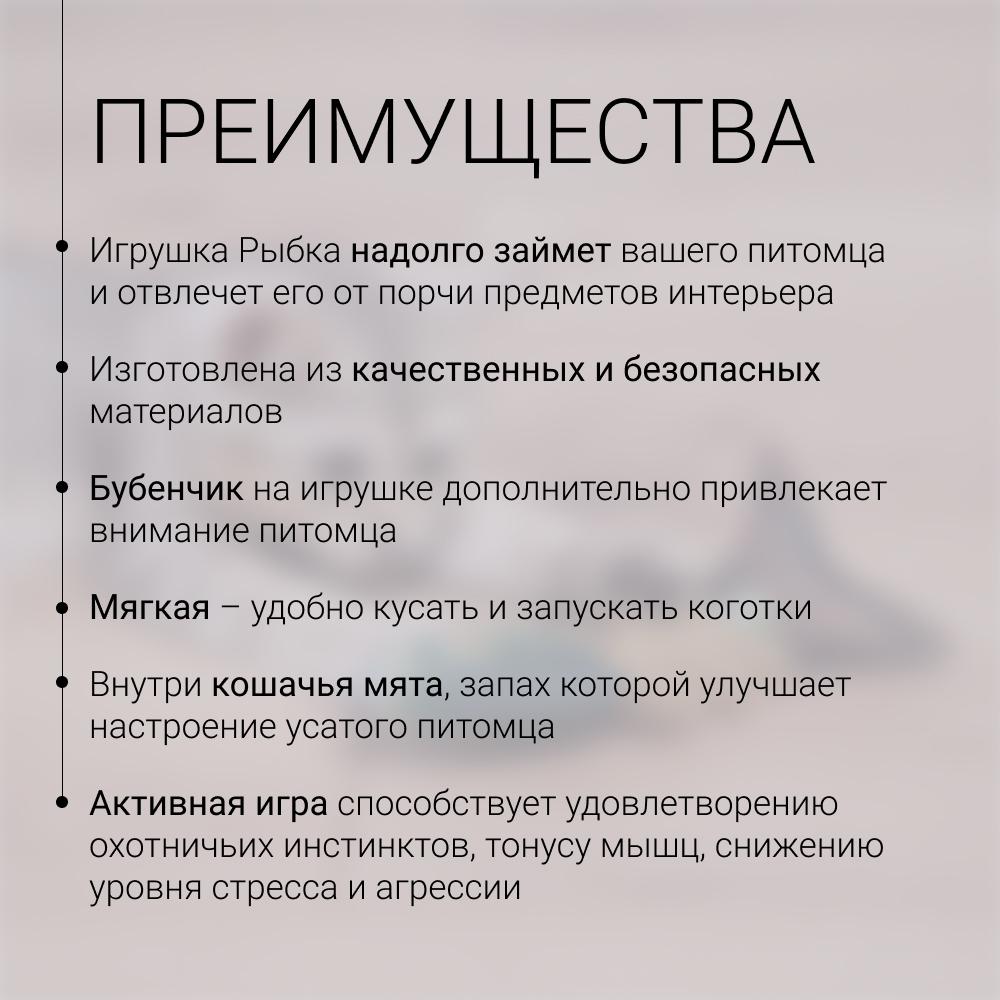 https://storage.yandexcloud.net/pim-core/431720.jpeg