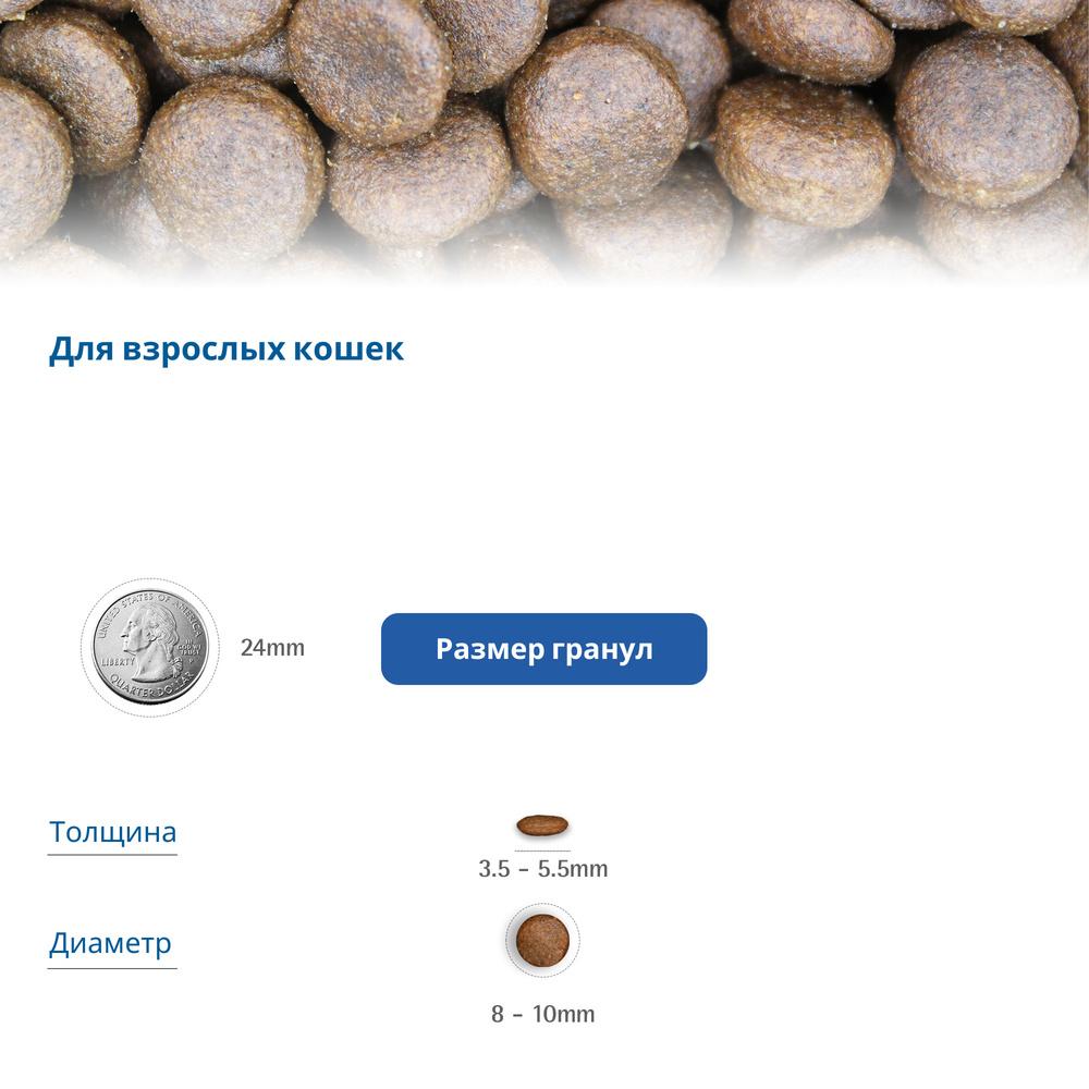https://storage.yandexcloud.net/pim-core/432308.jpeg