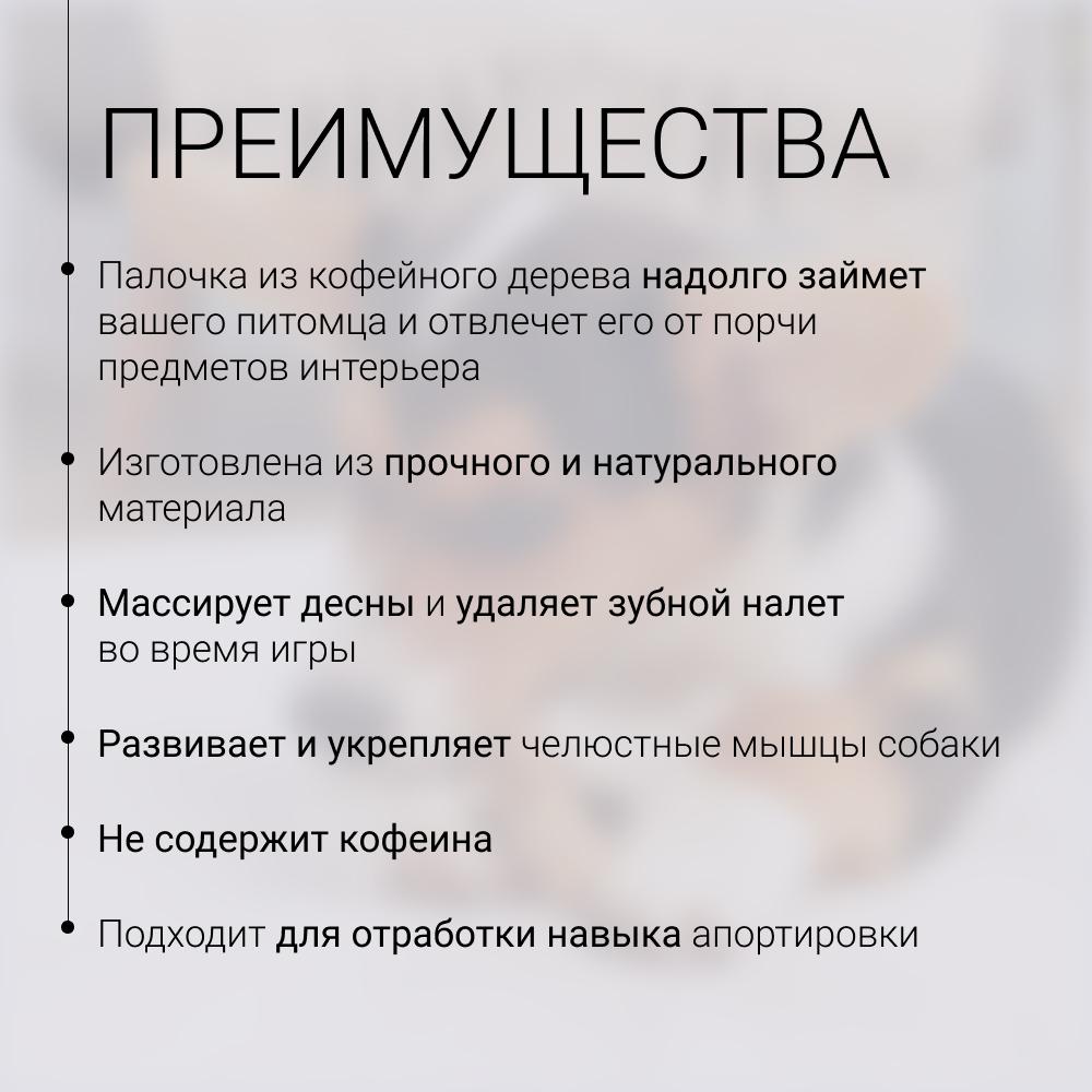 https://storage.yandexcloud.net/pim-core/432624.jpeg