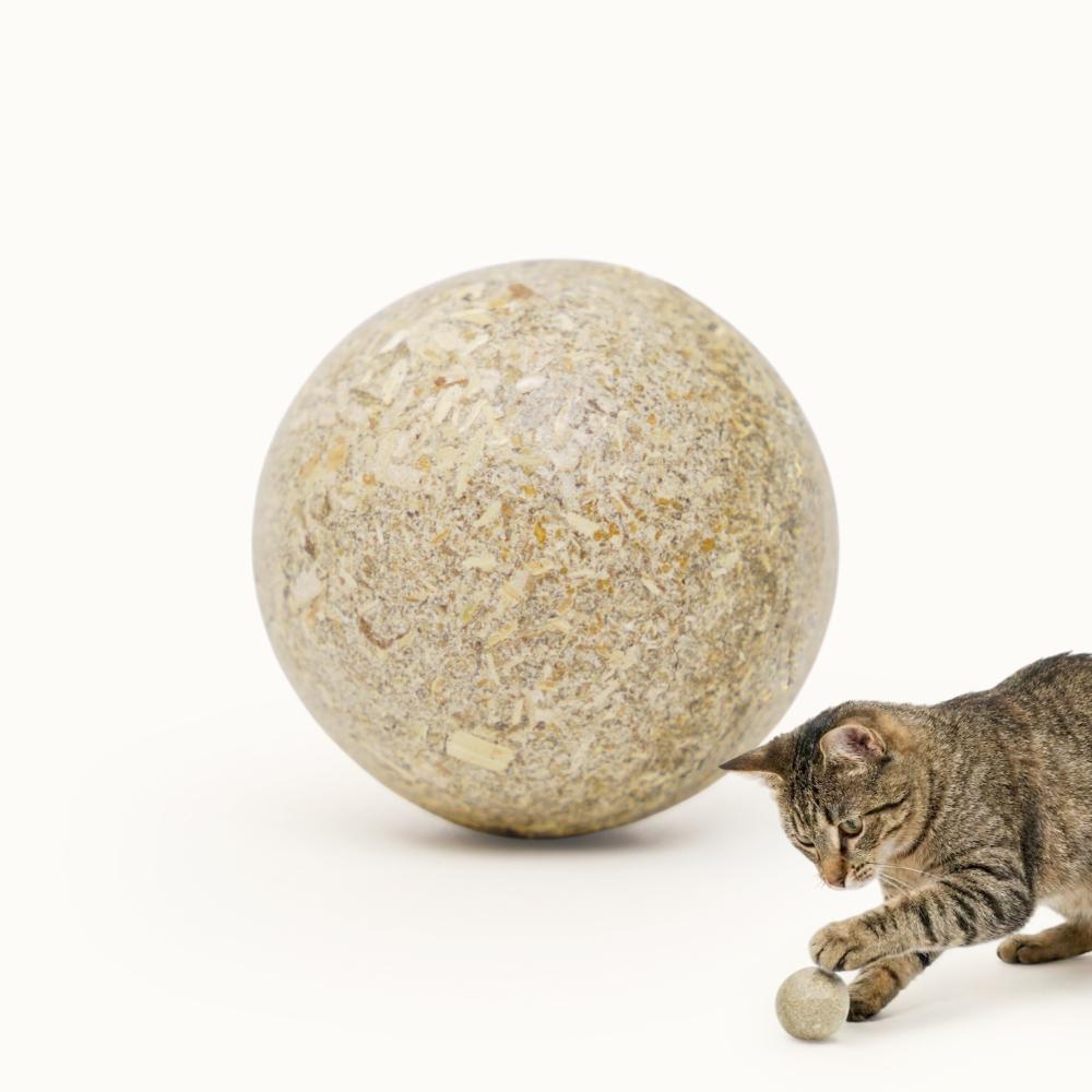 Pet hobby Игрушка для кошек Мячик Релакс (кошачья мята, мелисса, лимонник), диаметр 3,5 см