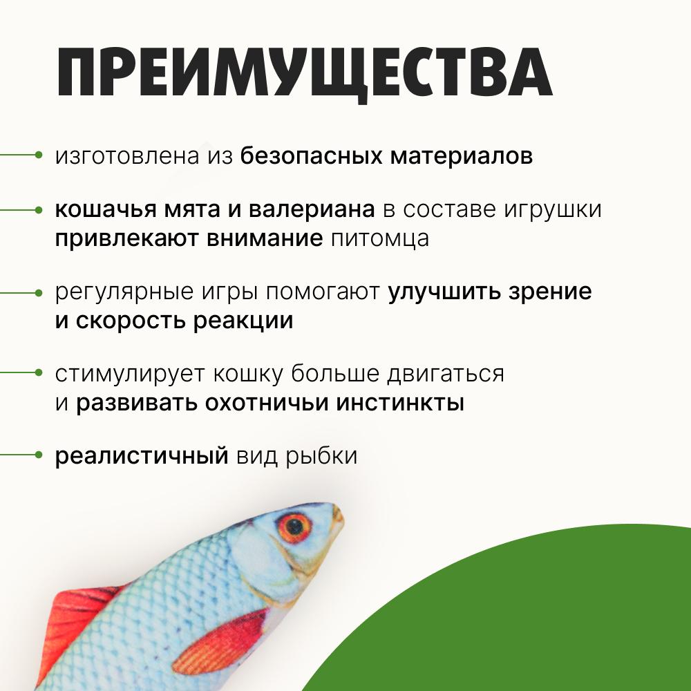 https://storage.yandexcloud.net/pim-core/432938.jpeg