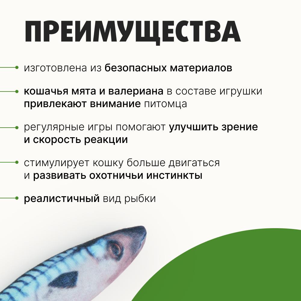 https://storage.yandexcloud.net/pim-core/433090.jpeg