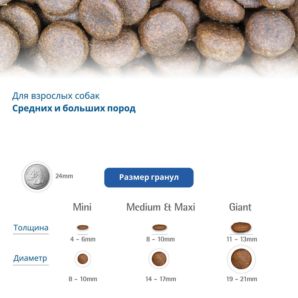 https://storage.yandexcloud.net/pim-core/433199.jpeg