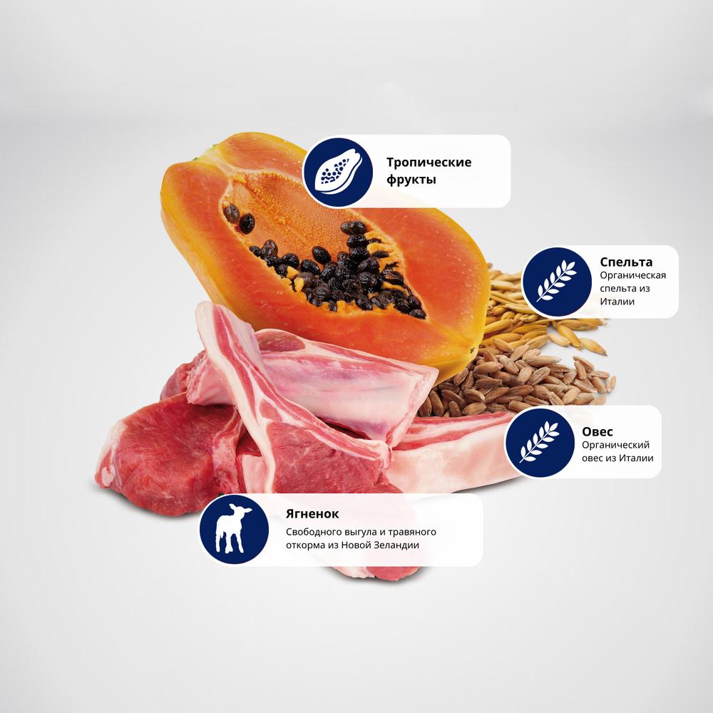https://storage.yandexcloud.net/pim-core/433209.jpeg