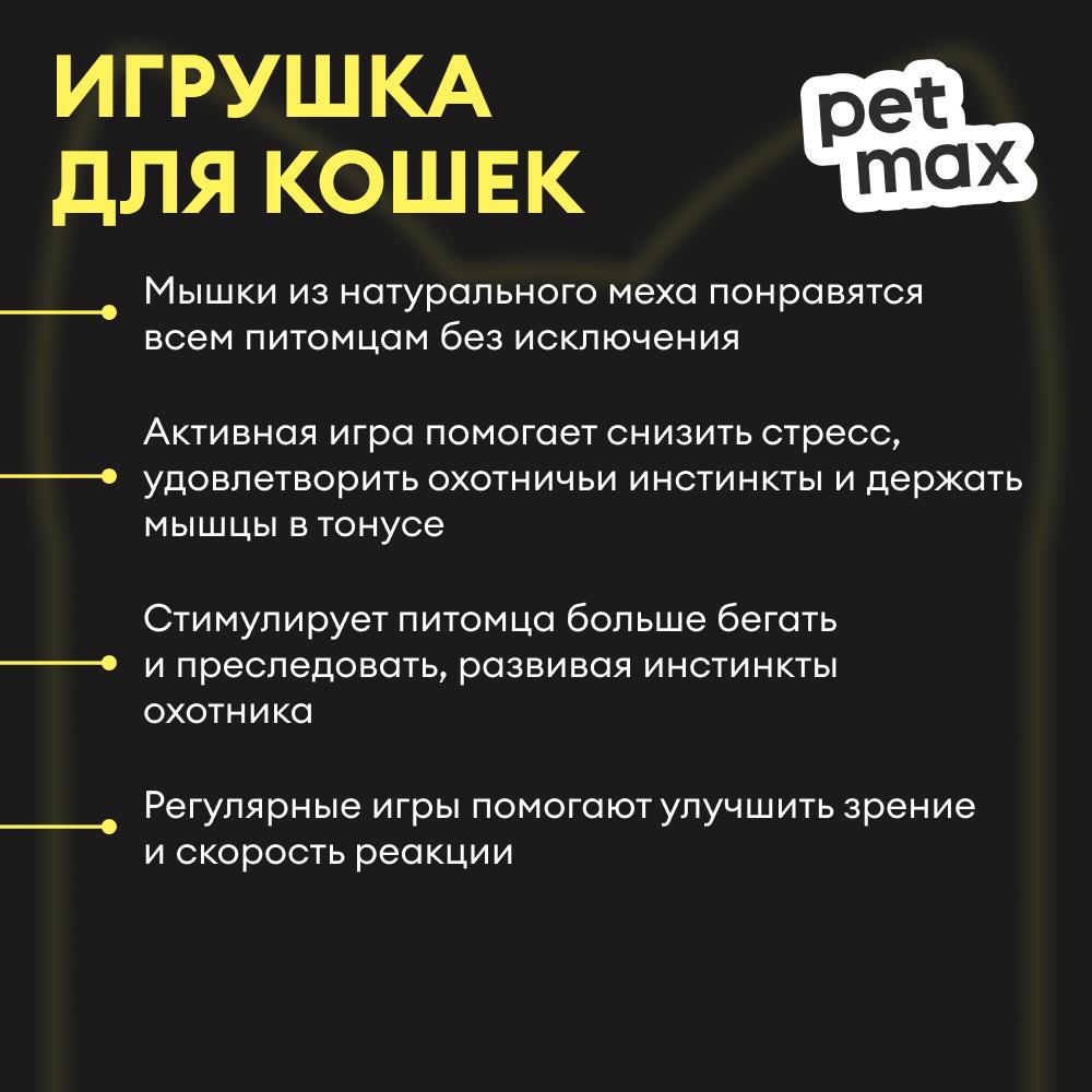 https://storage.yandexcloud.net/pim-core/433715.jpeg