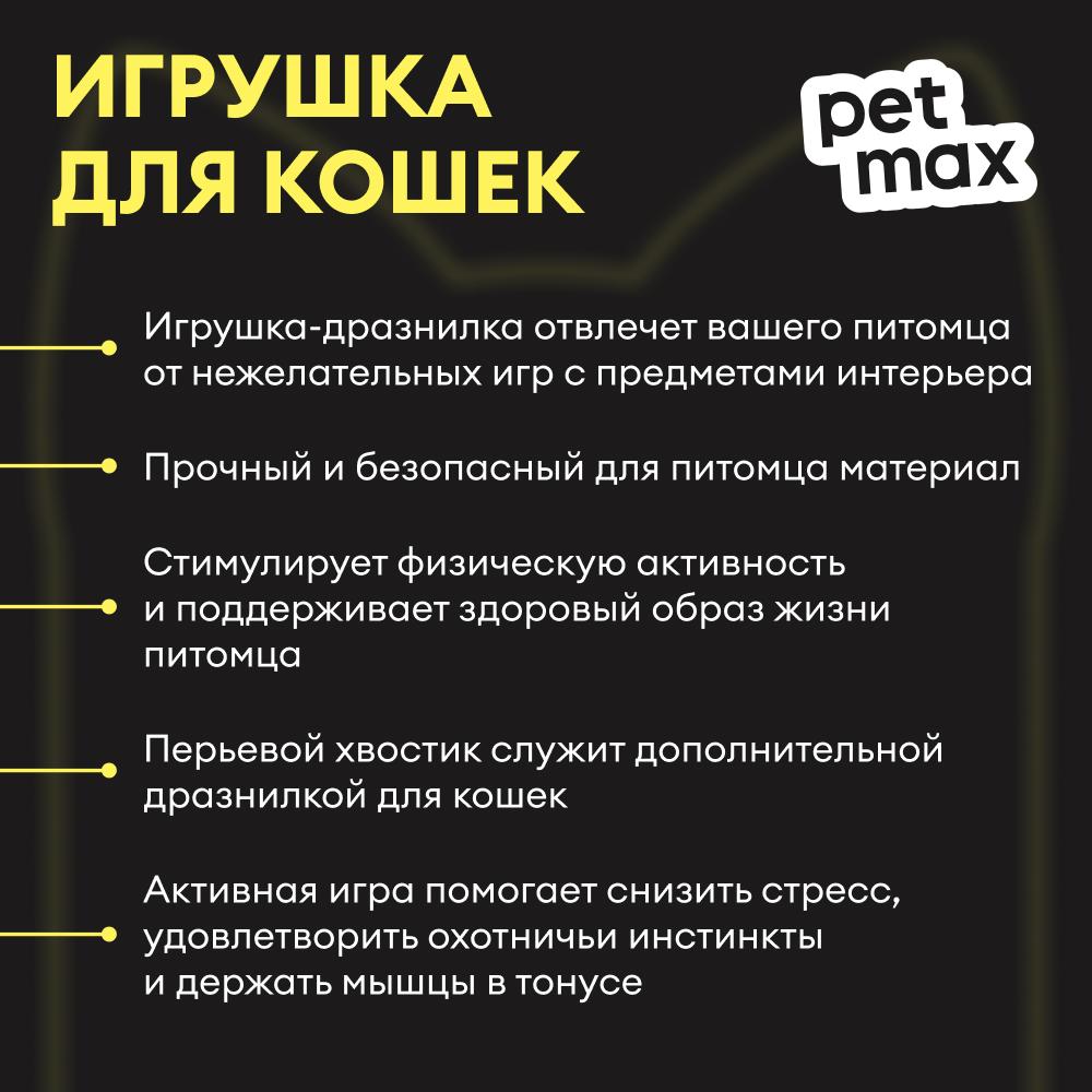 https://storage.yandexcloud.net/pim-core/434217.jpeg