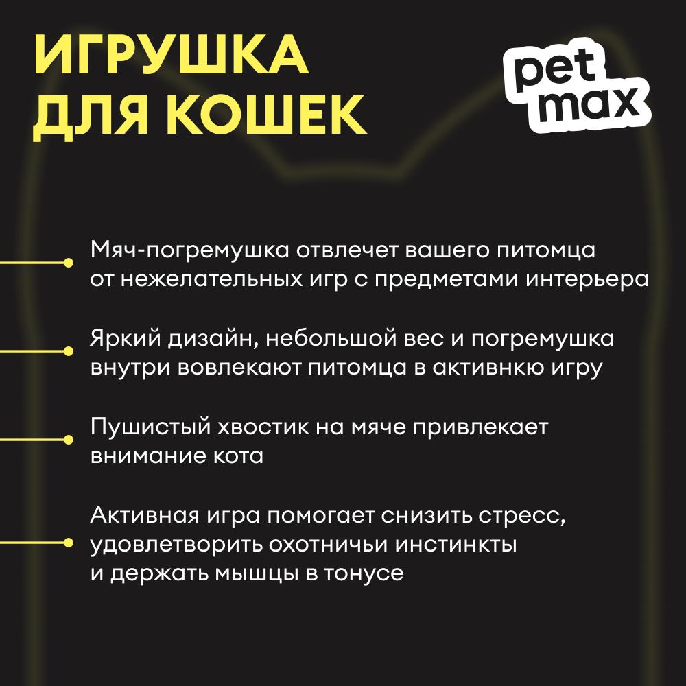 https://storage.yandexcloud.net/pim-core/434225.jpeg