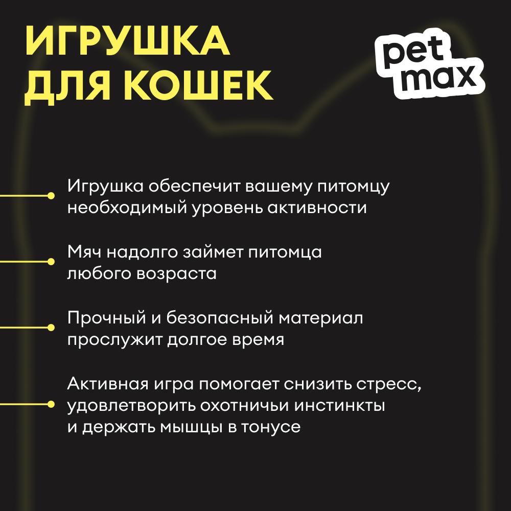 https://storage.yandexcloud.net/pim-core/434556.jpeg