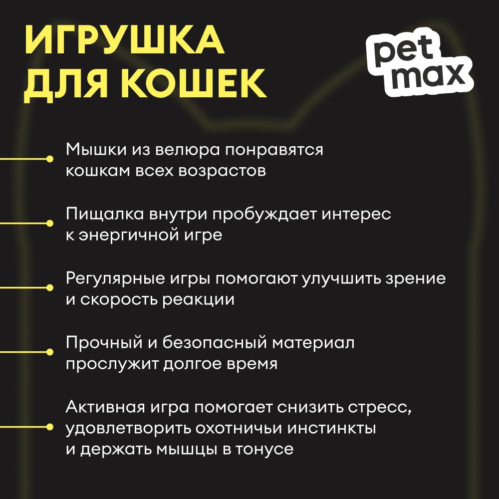 https://storage.yandexcloud.net/pim-core/434564.jpeg