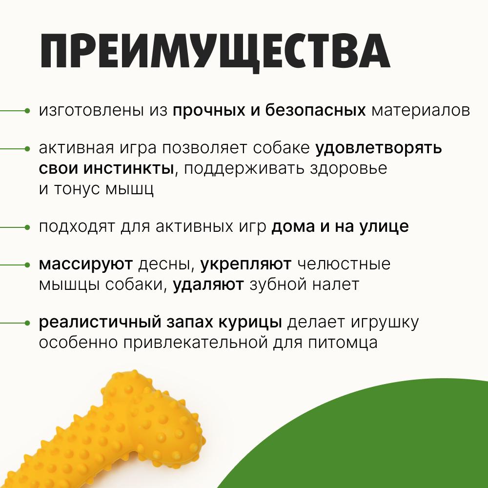 https://storage.yandexcloud.net/pim-core/434862.jpeg