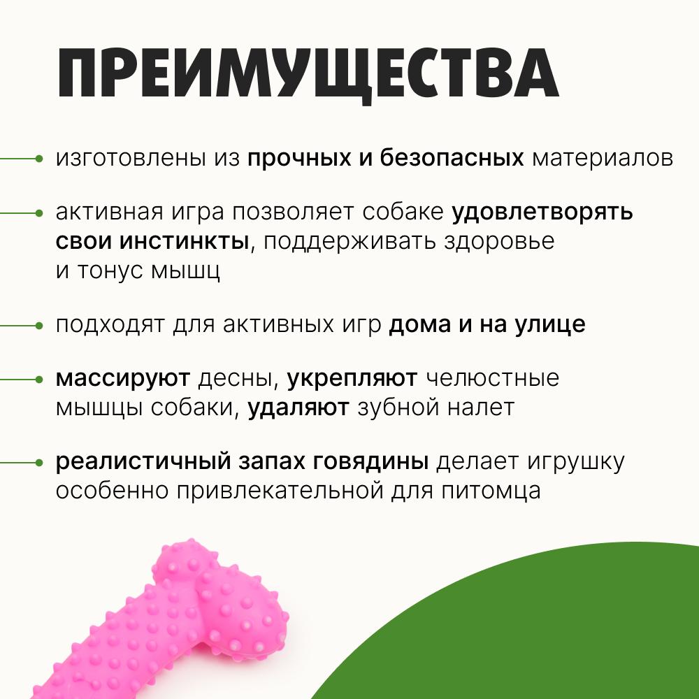 https://storage.yandexcloud.net/pim-core/434871.jpeg