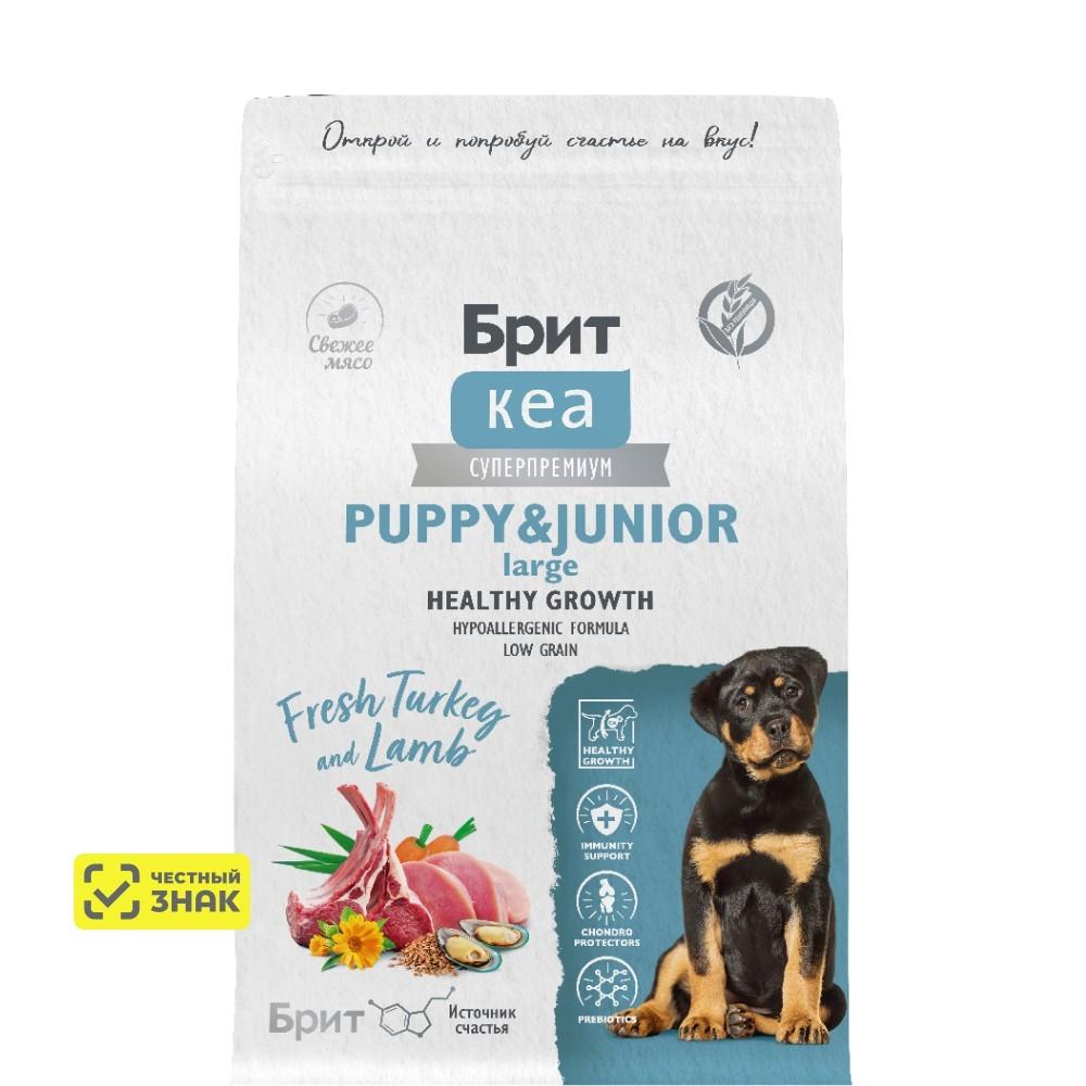 Brit Кеа Puppy Junior Large Healthy Growth Сухой корм для щенков крупных пород, с индейкой и ягненком, 3 кг