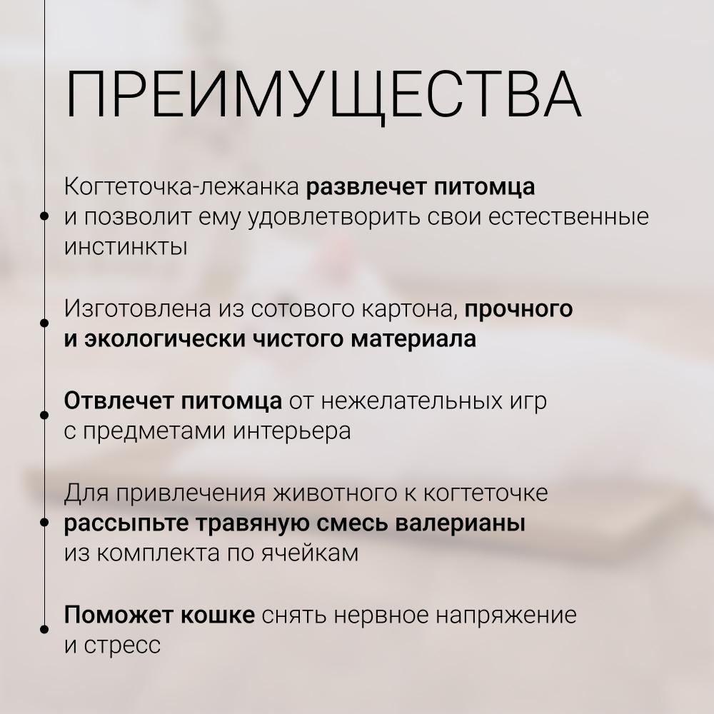 https://storage.yandexcloud.net/pim-core/436127.jpeg