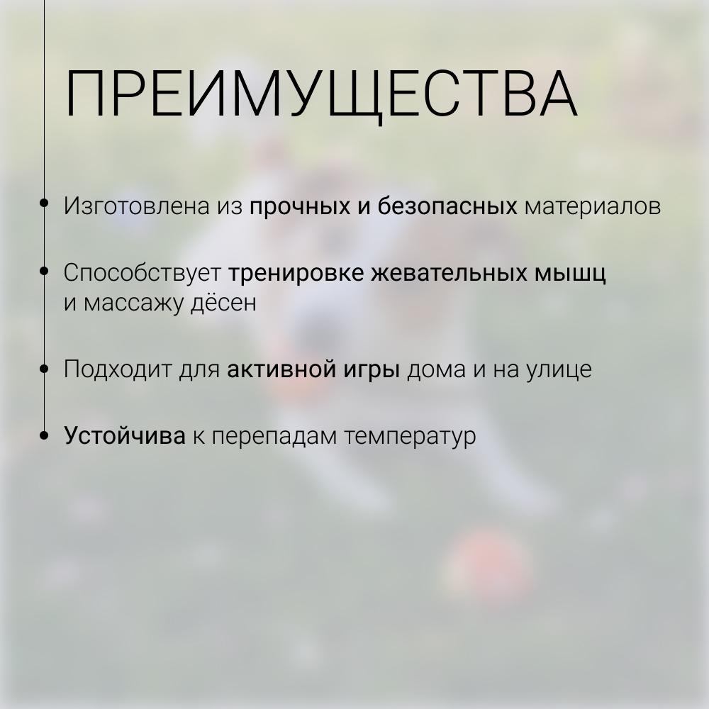 https://storage.yandexcloud.net/pim-core/436256.jpeg