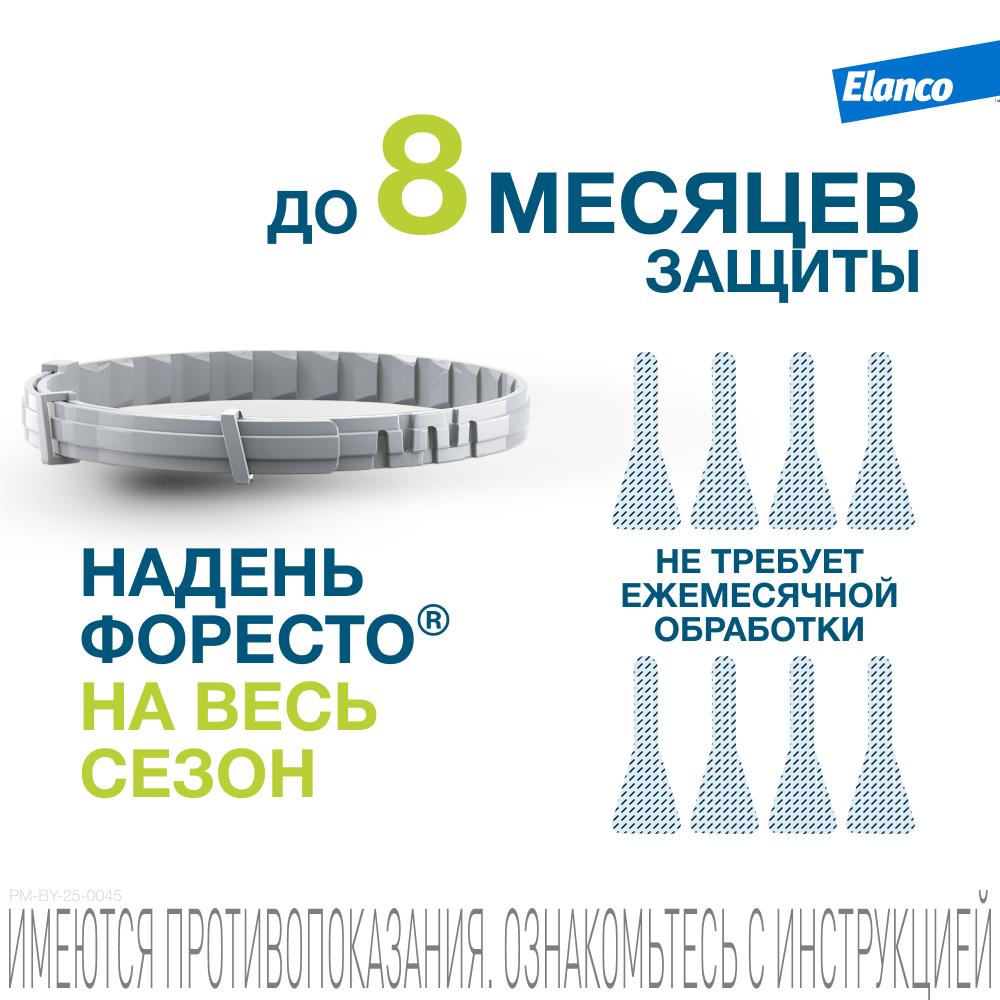 https://storage.yandexcloud.net/pim-core/436388.jpeg