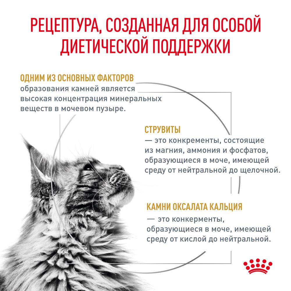 https://storage.yandexcloud.net/pim-core/436946.jpeg
