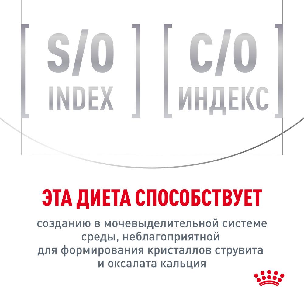 https://storage.yandexcloud.net/pim-core/436953.jpeg
