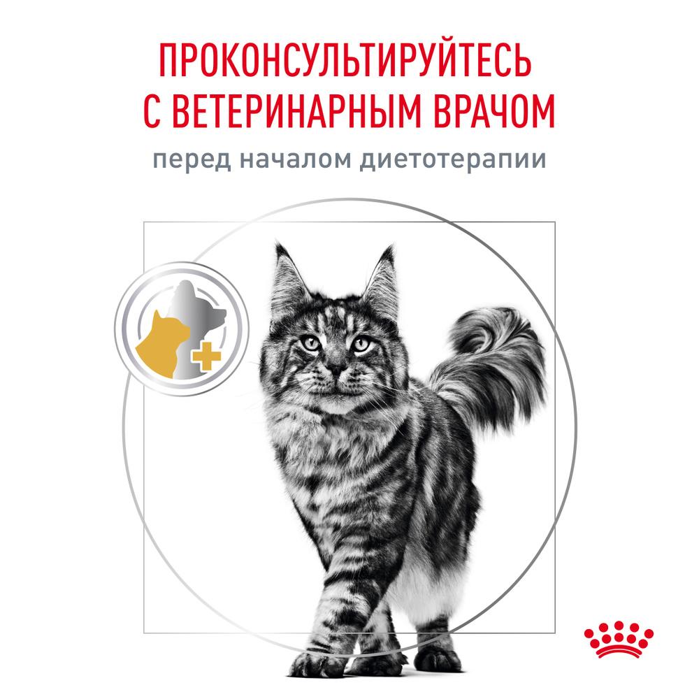 https://storage.yandexcloud.net/pim-core/436954.jpeg