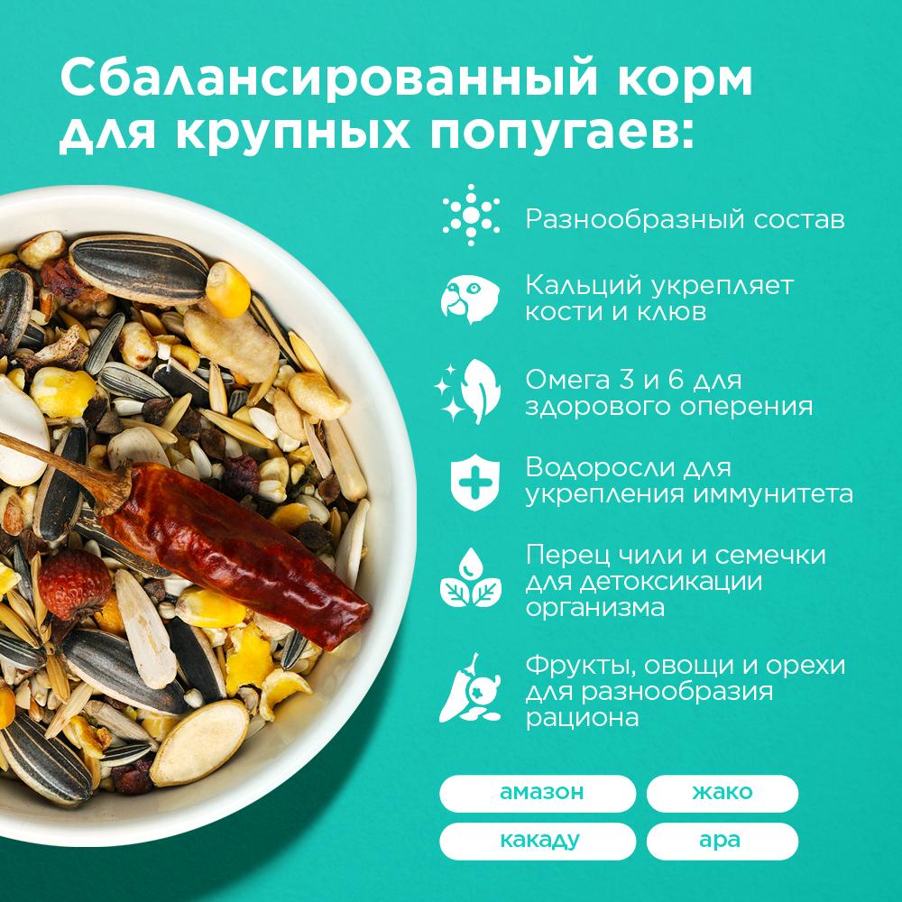 https://storage.yandexcloud.net/pim-core/437610.jpeg