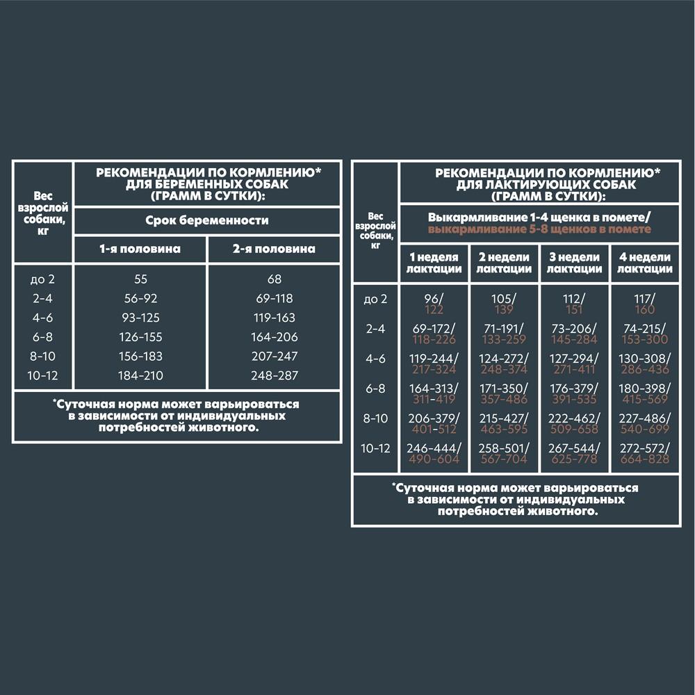 https://storage.yandexcloud.net/pim-core/dbpim-prod_110336.jpg