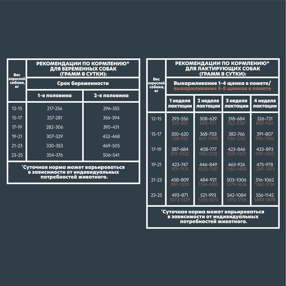 https://storage.yandexcloud.net/pim-core/dbpim-prod_110352.jpg