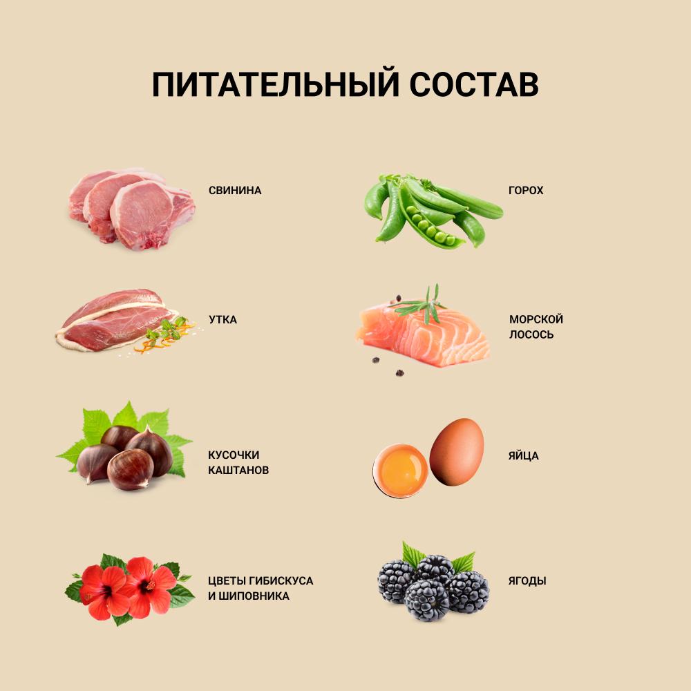https://storage.yandexcloud.net/pim-core/dbpim-prod_111205.jpg