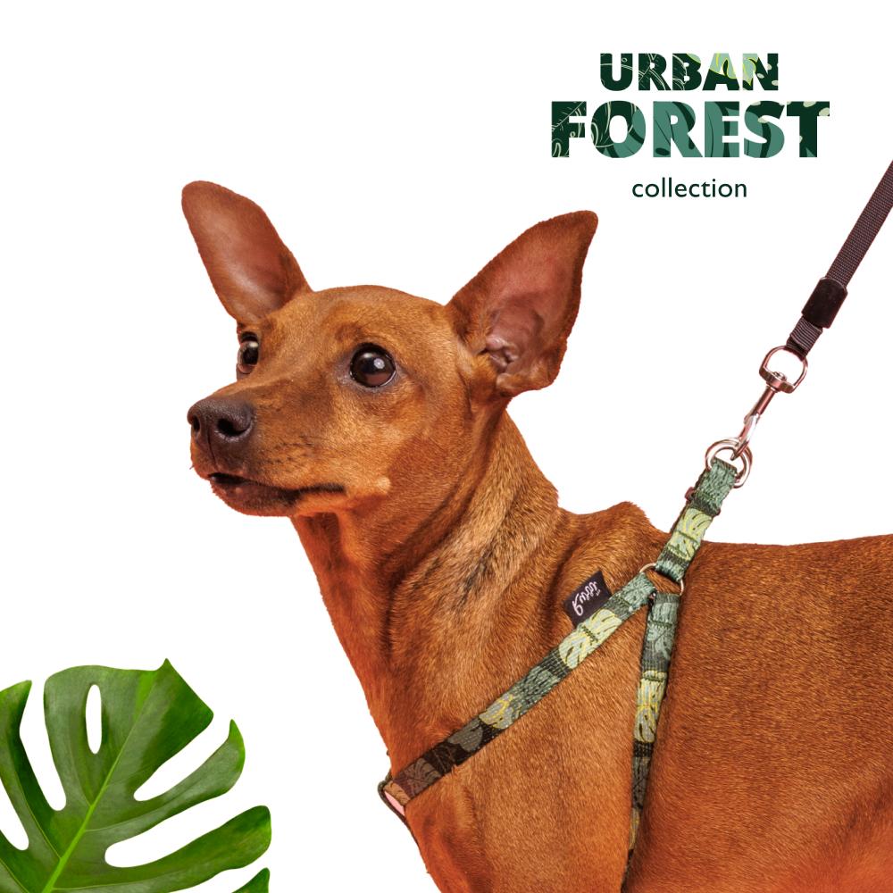 RURRI Шлейка для собак Urban Forest, S, 35-53 см, 10 мм