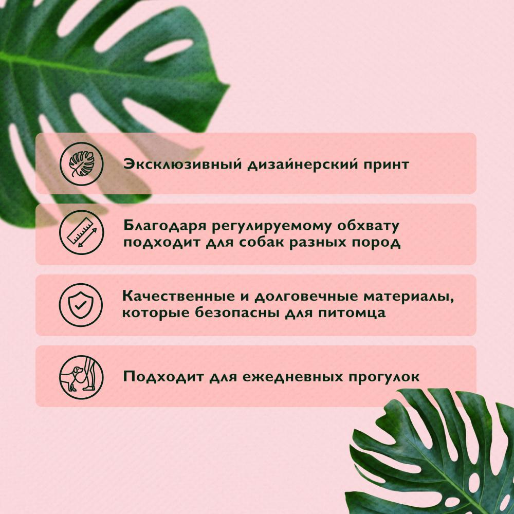 https://storage.yandexcloud.net/pim-core/dbpim-prod_120524.jpg