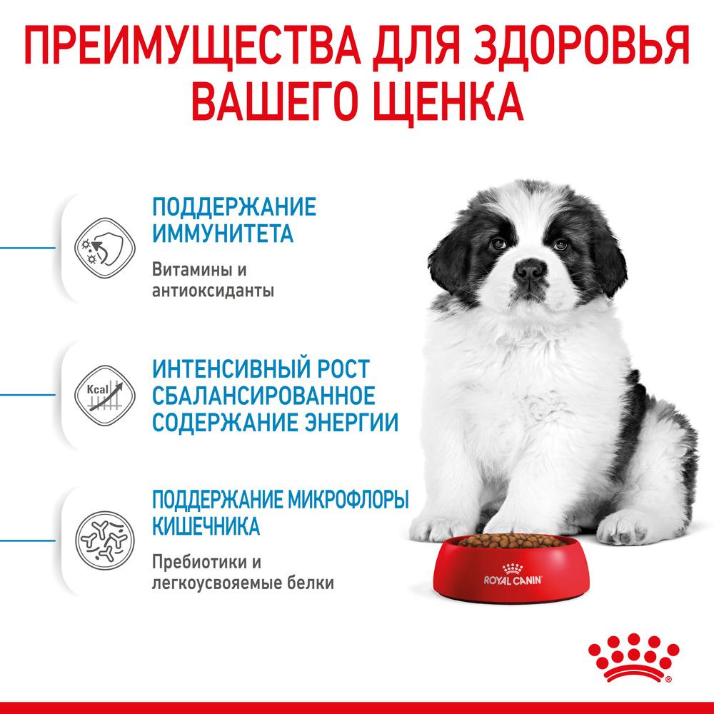 https://storage.yandexcloud.net/pim-core/dbpim-prod_19750.jpg